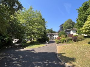 Photo 15- click for photo gallery